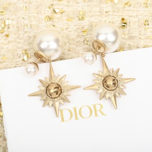 디올 귀걸이