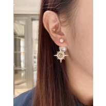 디올 귀걸이