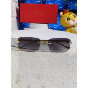 까르띠에 선글라스